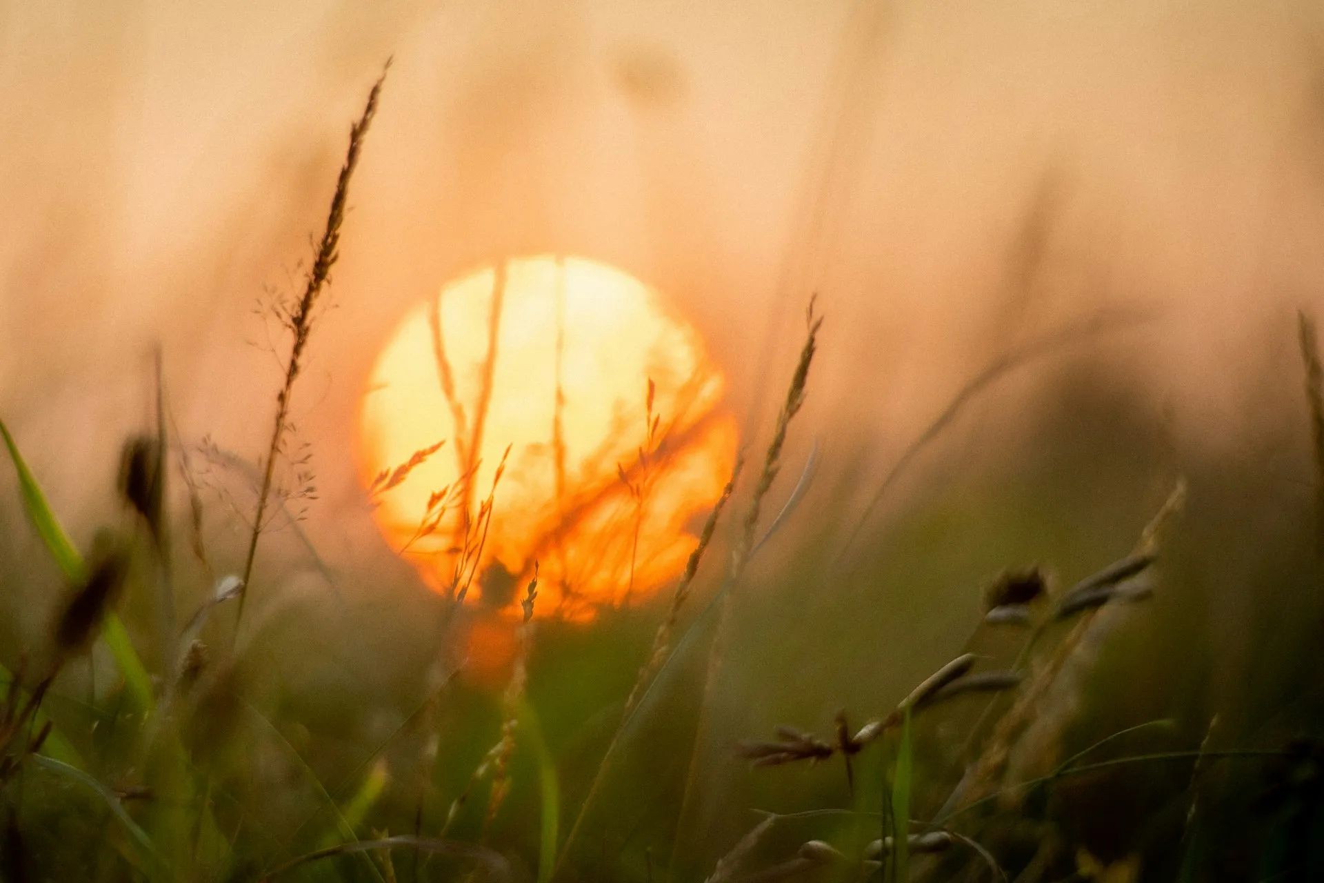 empresa-de-paneles-solares